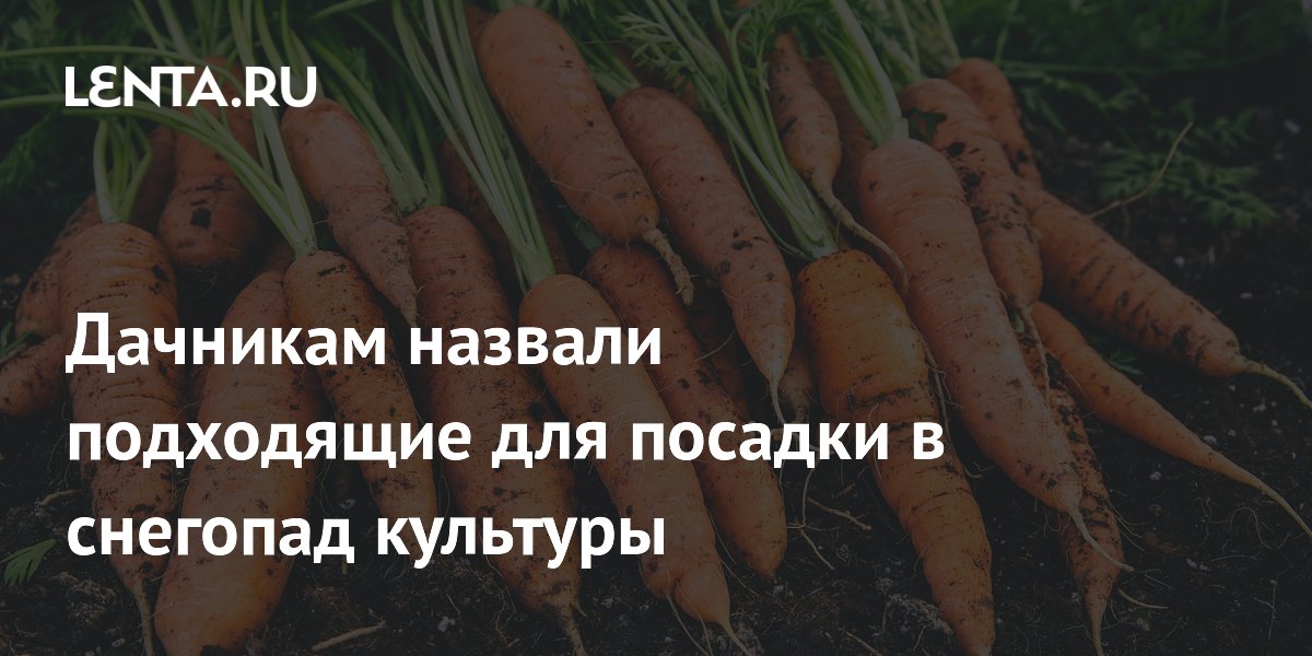 Дачникам назвали подходящие для посадки в снегопад культуры