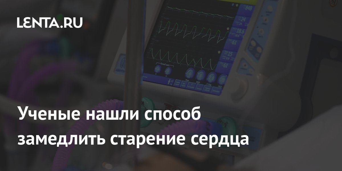Ученые нашли способ замедлить старение сердца
