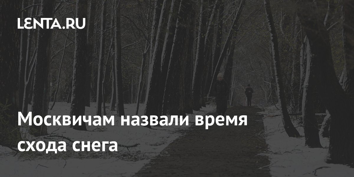 Москвичам назвали время схода снега