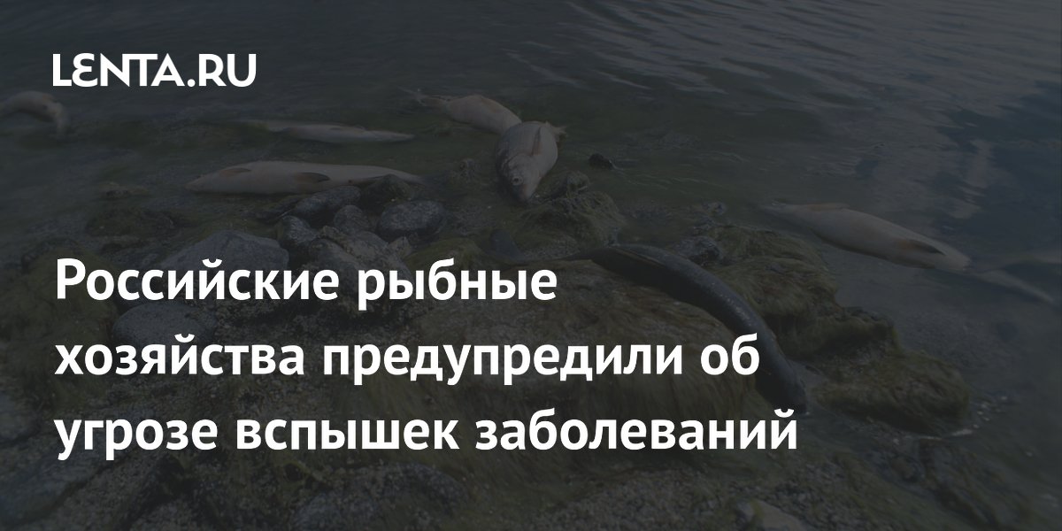 Российские рыбные хозяйства предупредили об угрозе вспышек заболеваний