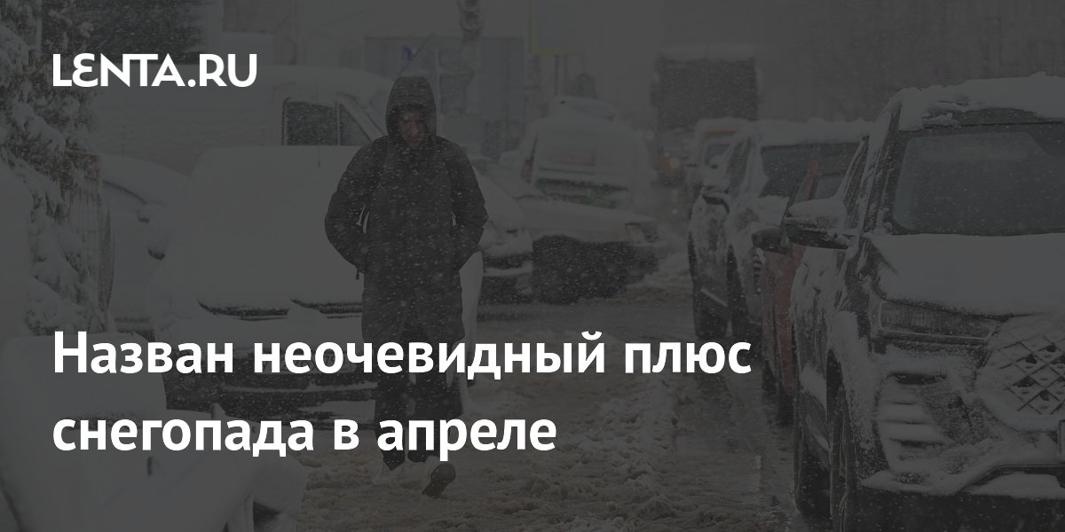 Назван неочевидный плюс снегопада в апреле