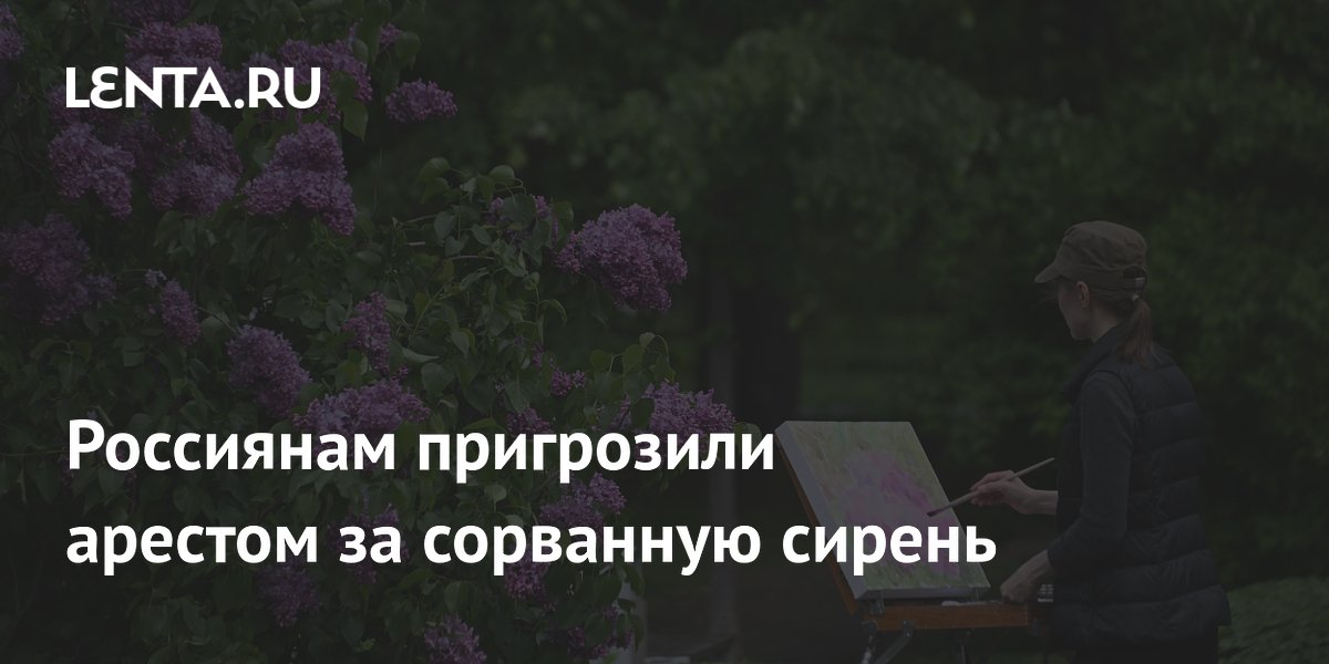 Россиянам пригрозили арестом за сорванную сирень