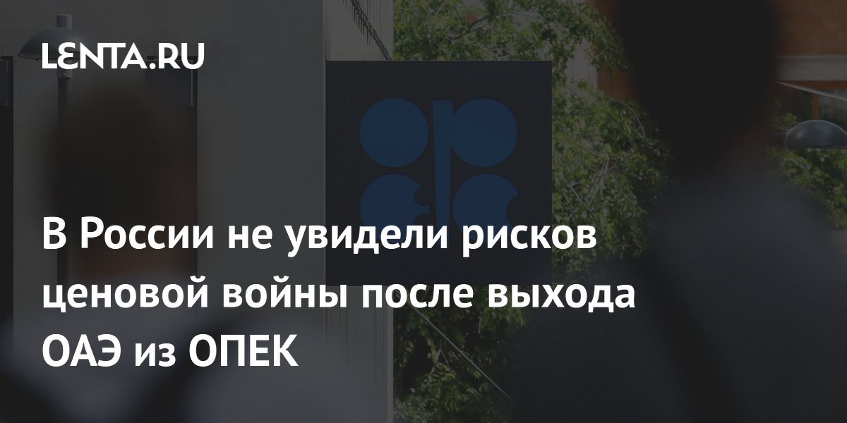 В России не увидели рисков ценовой войны после выхода ОАЭ из ОПЕК