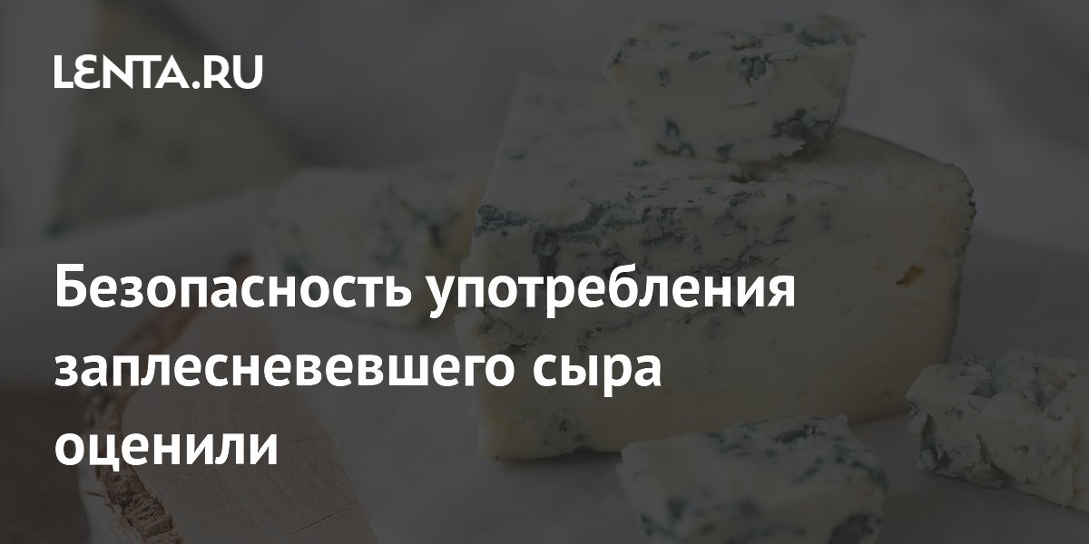 Безопасность употребления заплесневевшего сыра оценили