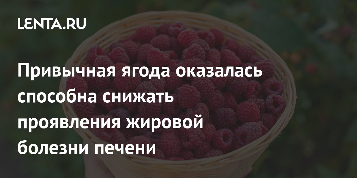 Привычная ягода оказалась способна снижать проявления жировой болезни печени