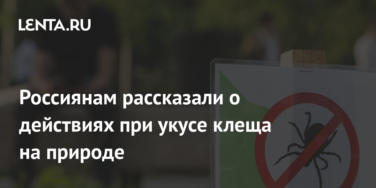 Россиянам рассказали о действиях при укусе клеща на природе