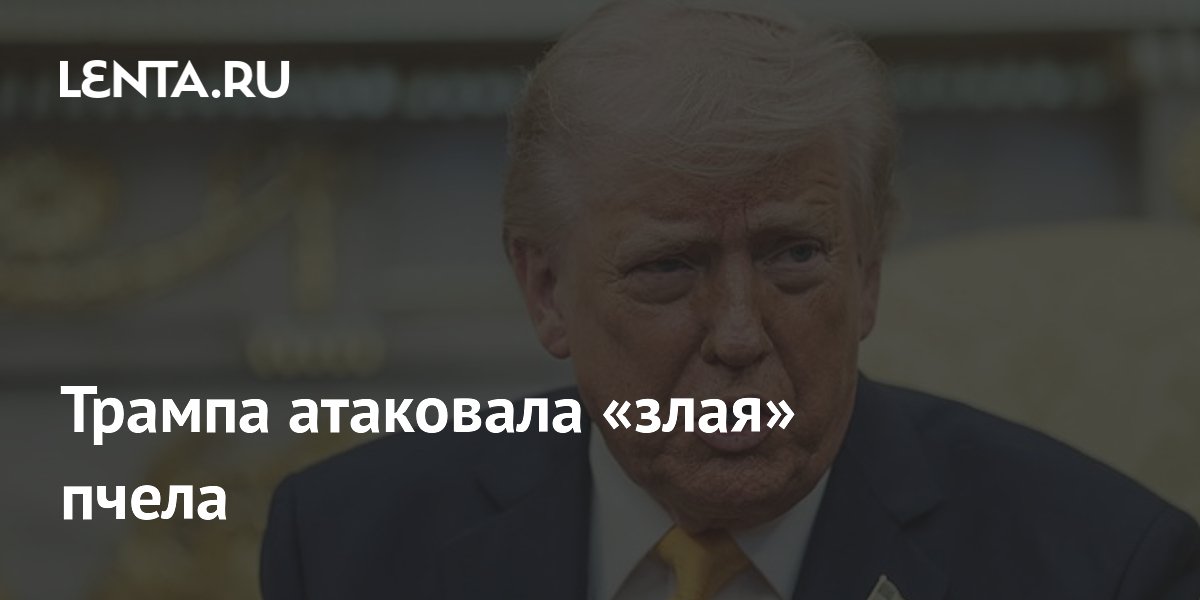 Трампа атаковала «злая» пчела