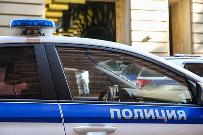 Под Санкт-Петербургом нашли расчлененное тело