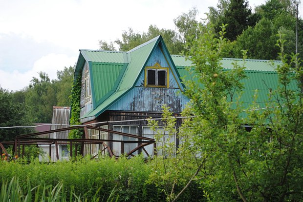 Вводная картинка