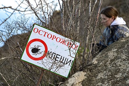Россиянам дали рекомендации по защите от клещей