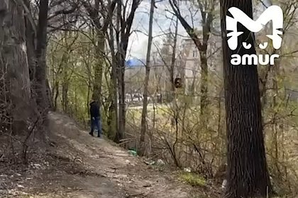 Удовлетворяющий себя в центре российского города мужчина попал на видео