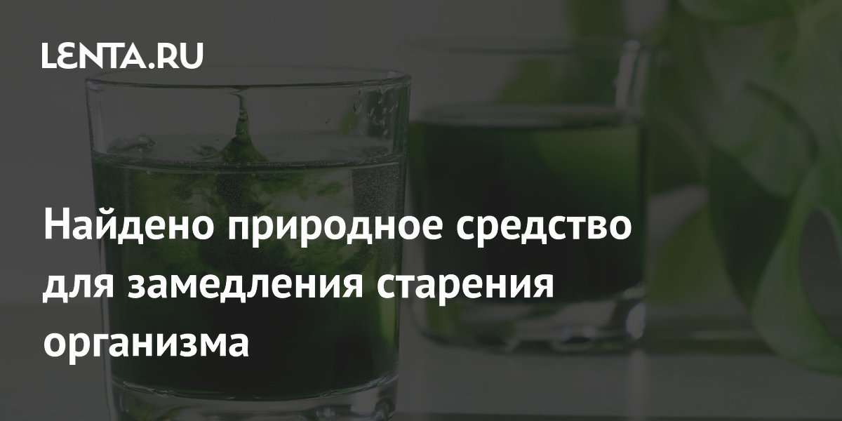 Найдено природное средство для замедления старения организма