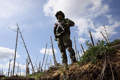 Военный рассказал о боеспособности группировки ВСУ под Красноармейском