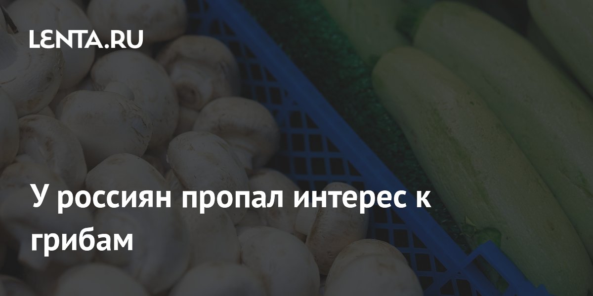 У россиян пропал интерес к грибам