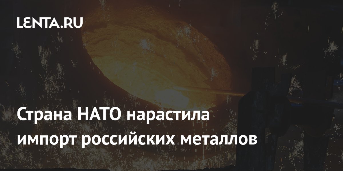 Страна НАТО нарастила импорт российских металлов