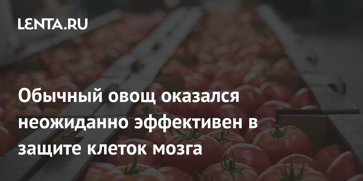 Обычный овощ оказался неожиданно эффективен в защите клеток мозга