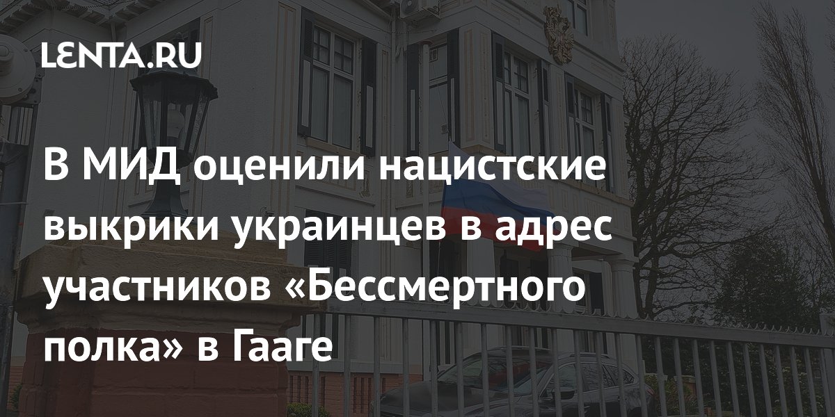 В МИД оценили нацистские выкрики украинцев в адрес участников «Бессмертного полка» в Гааге