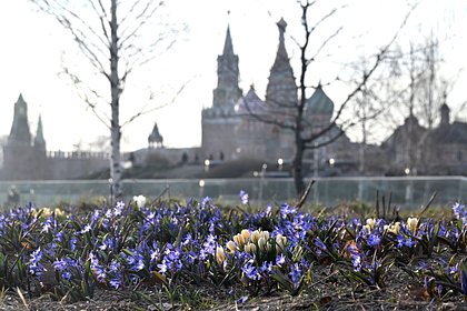 Москвичам пообещали аномальную погоду