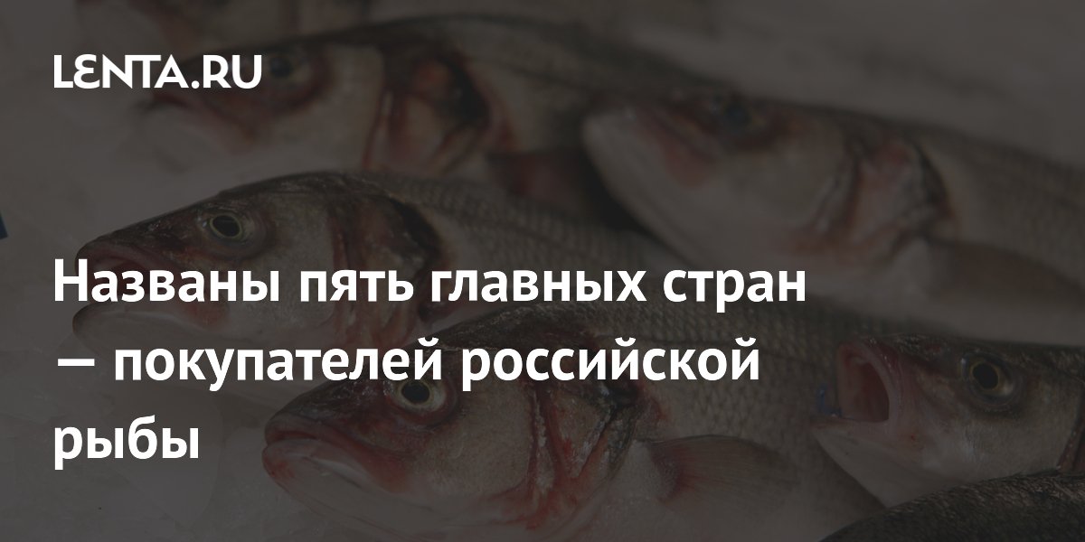 Названы пять главных стран — покупателей российской рыбы