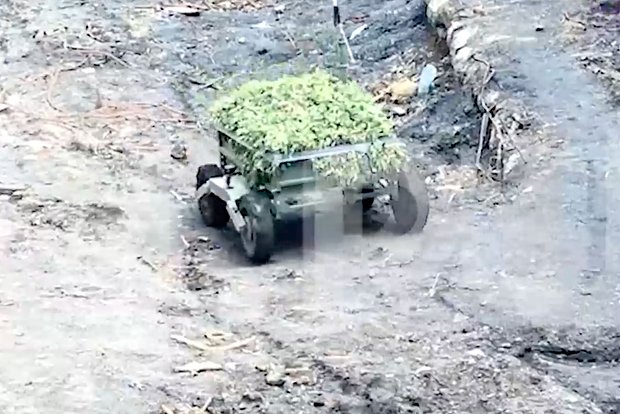Вводная картинка