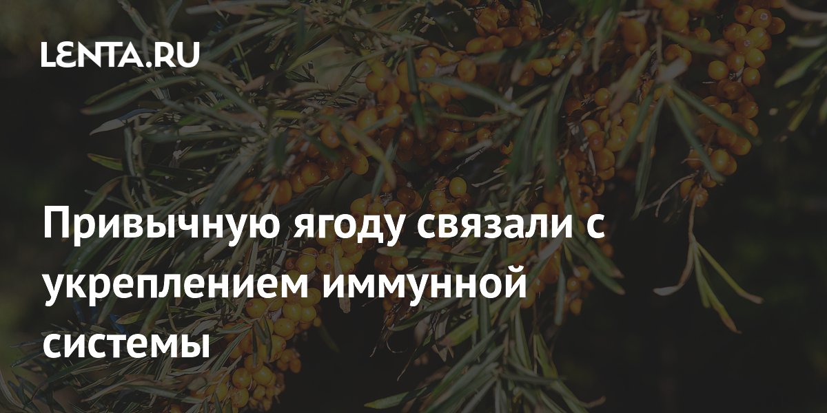 Привычную ягоду связали с укреплением иммунной системы