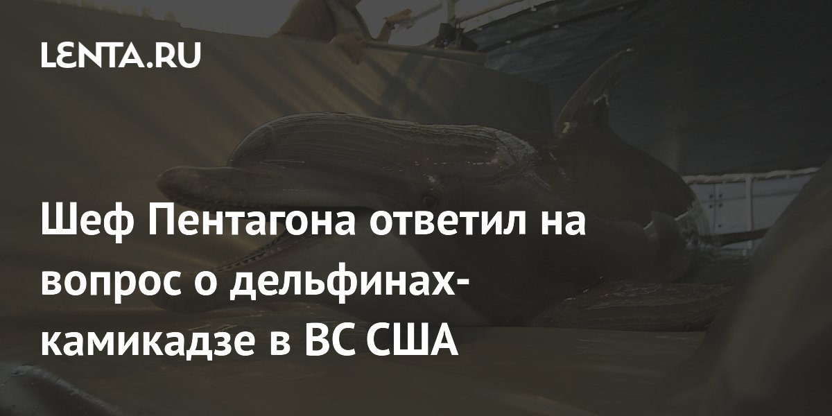 Шеф Пентагона ответил на вопрос о дельфинах-камикадзе в ВС США