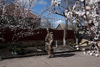 В Минобороны Украины сделали резкое заявление о перемирии с Россией на 9 Мая. Что известно о приостановке боевых действий? 