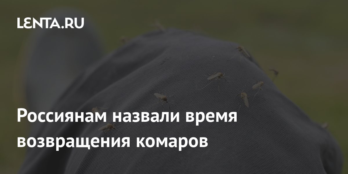 Россиянам назвали время возвращения комаров