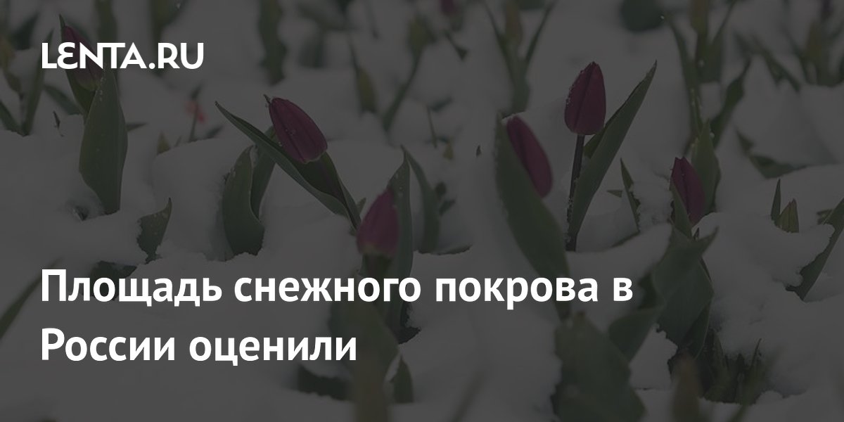 Площадь снежного покрова в России оценили