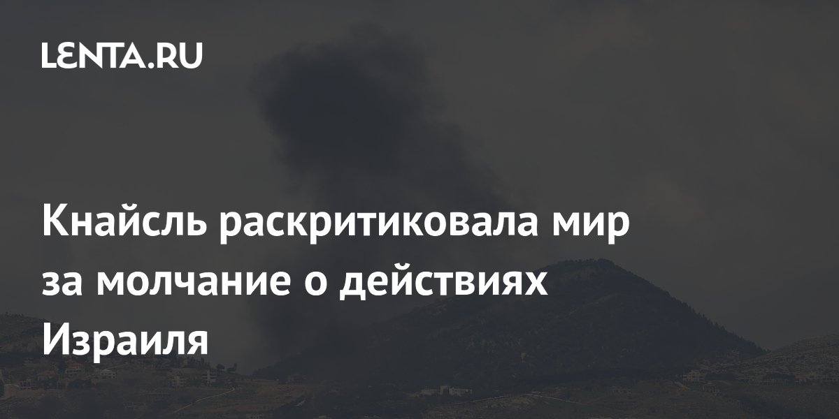 Кнайсль раскритиковала мир за молчание о действиях Израиля