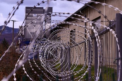 Россиянин получил шесть лет колонии из-за оружия в дупле
