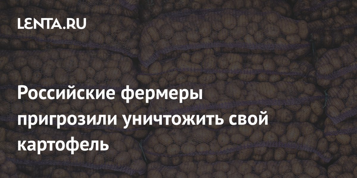 Российские фермеры пригрозили уничтожить свой картофель