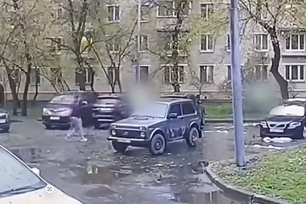 Вводная картинка