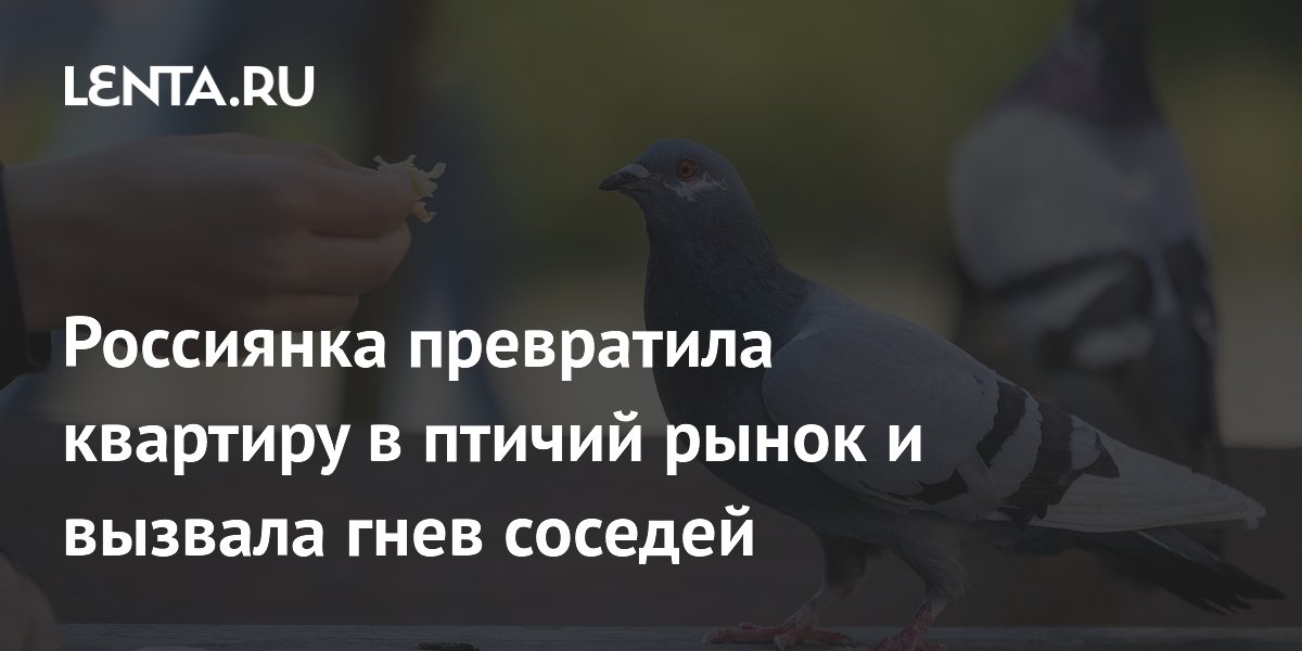 Россиянка превратила квартиру в птичий рынок и вызвала гнев соседей