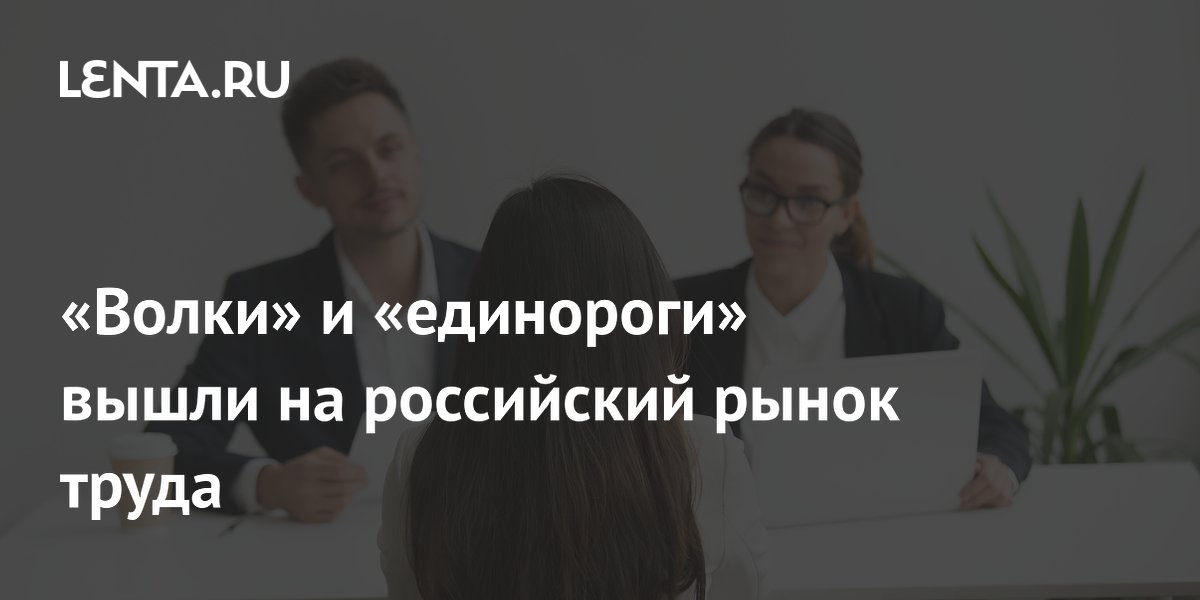 «Волки» и «единороги» вышли на российский рынок труда