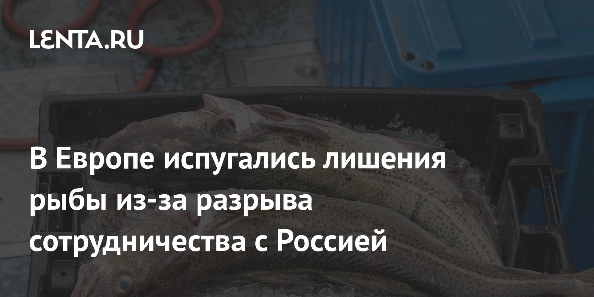 В Европе испугались лишения рыбы из-за разрыва сотрудничества с Россией