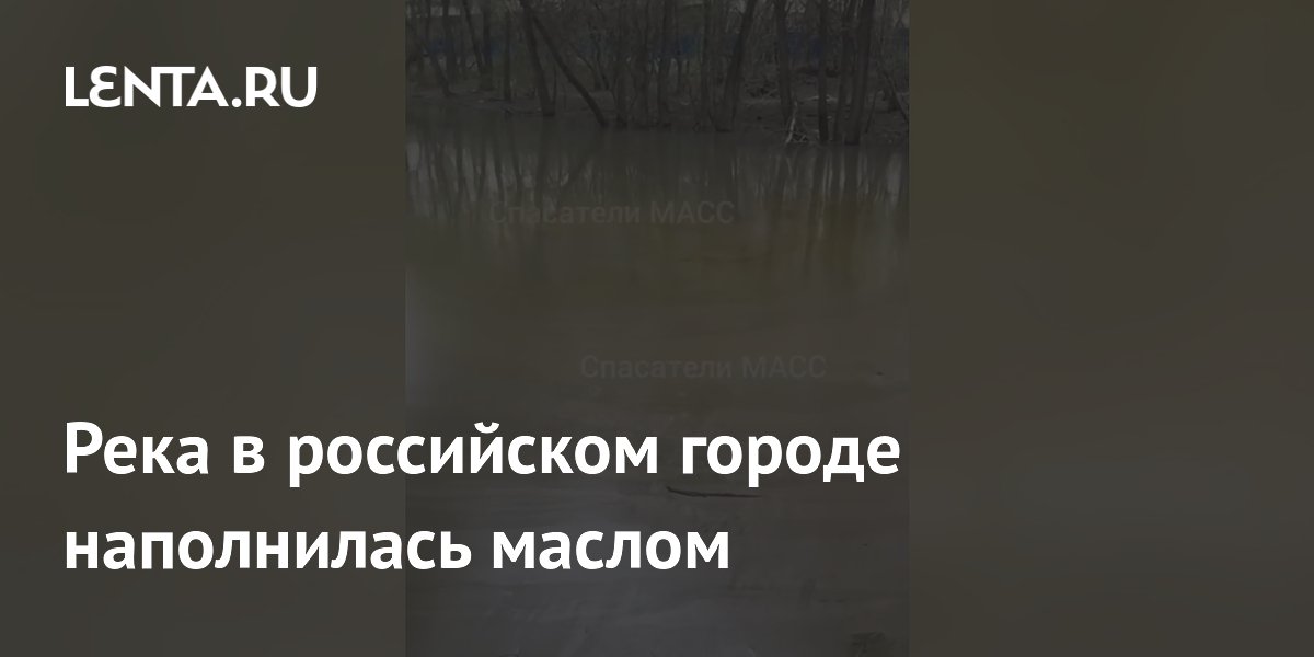Река в российском городе наполнилась маслом