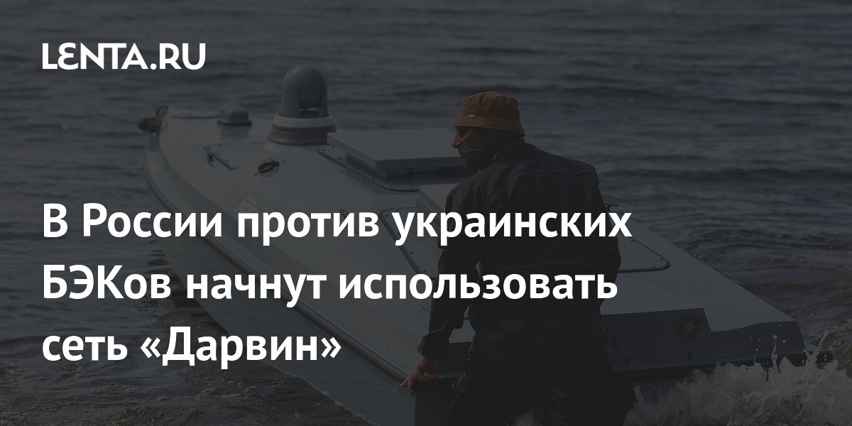 В России против украинских БЭКов начнут использовать сеть «Дарвин»