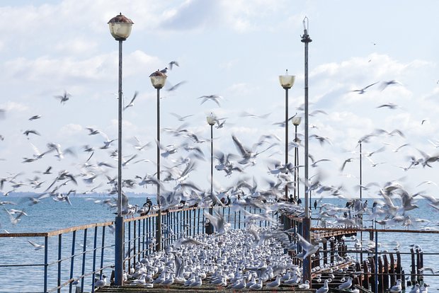 Вводная картинка