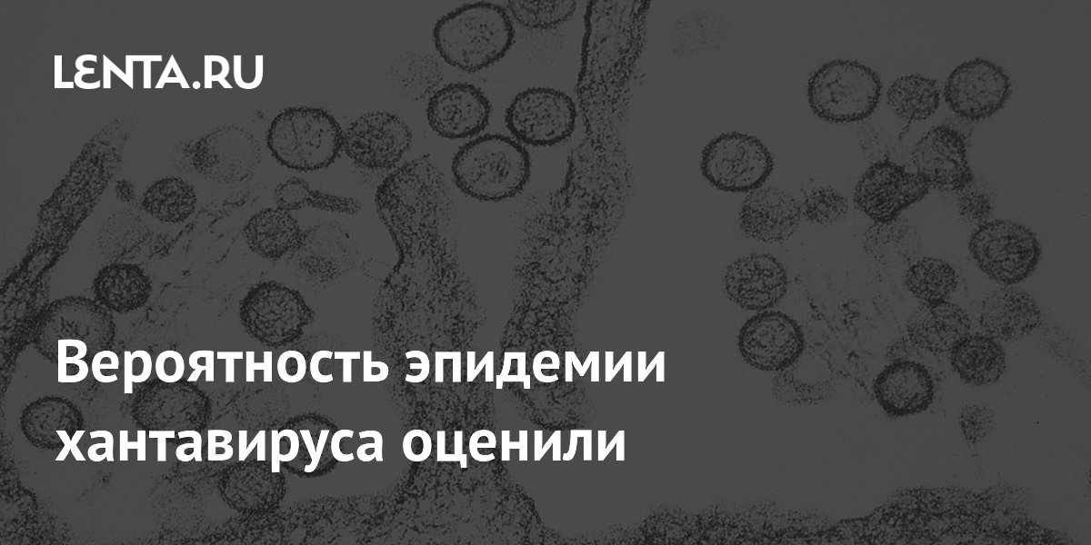 Вероятность эпидемии хантавируса оценили