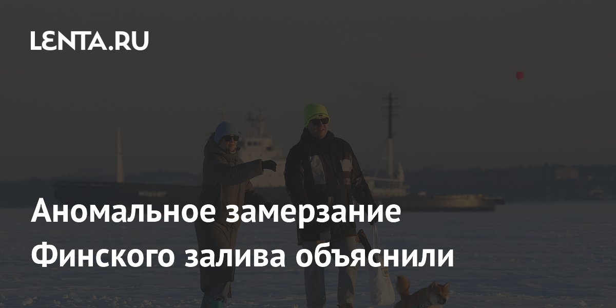 Аномальное замерзание Финского залива объяснили