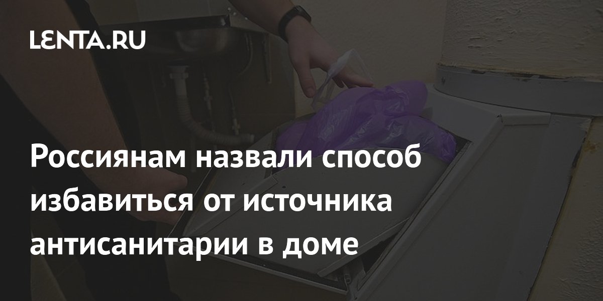 Россиянам назвали способ избавиться от источника антисанитарии в доме