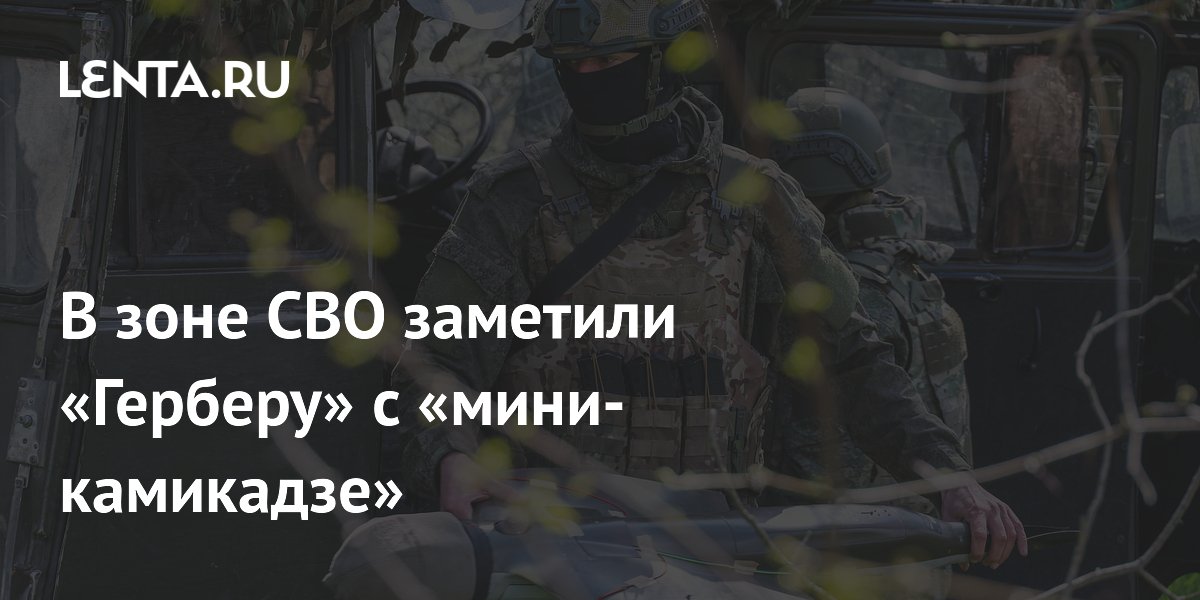 В зоне СВО заметили «Герберу» с «мини-камикадзе»