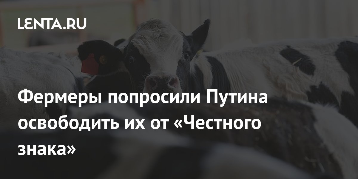 Фермеры попросили Путина освободить их от «Честного знака»