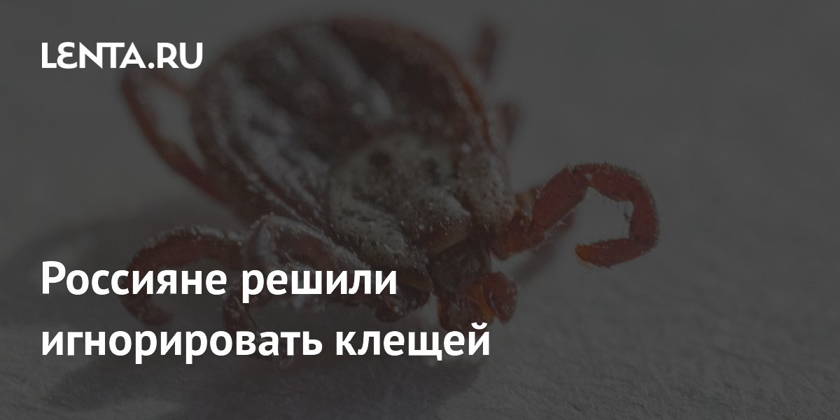 Россияне решили игнорировать клещей