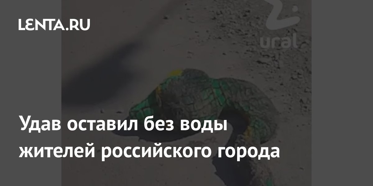 Удав оставил без воды жителей российского города
