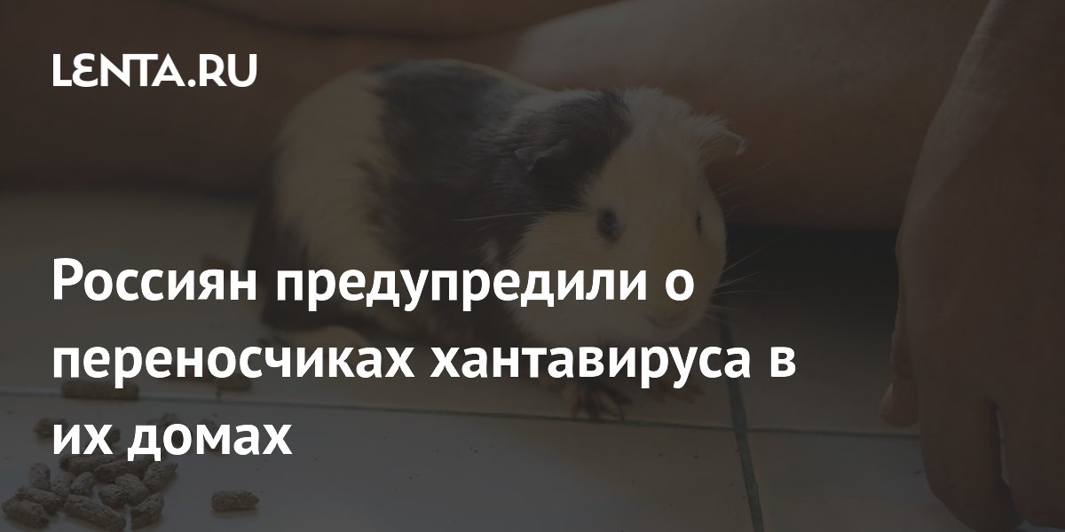 Россиян предупредили о переносчиках хантавируса в их домах