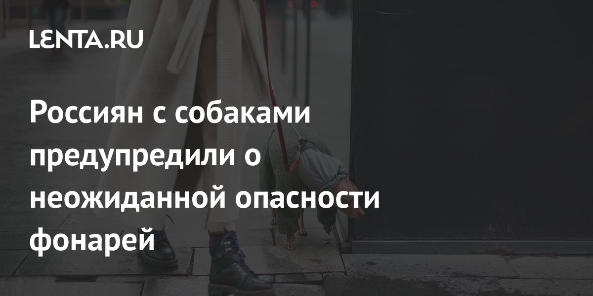 Россиян с собаками предупредили о неожиданной опасности фонарей