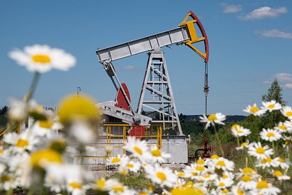 В правительстве рассказали о планах поставки российской нефти новому партнеру