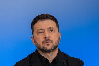 В Германии раскрыли тайное желание Зеленского